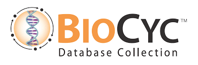 BioCyc Database