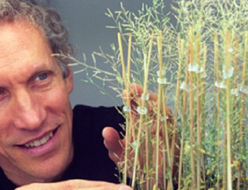 Recommended Readings: Philip Benfey, Ph.D., Friday October 8, 2021